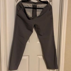 Gray express columnist 10r pants
